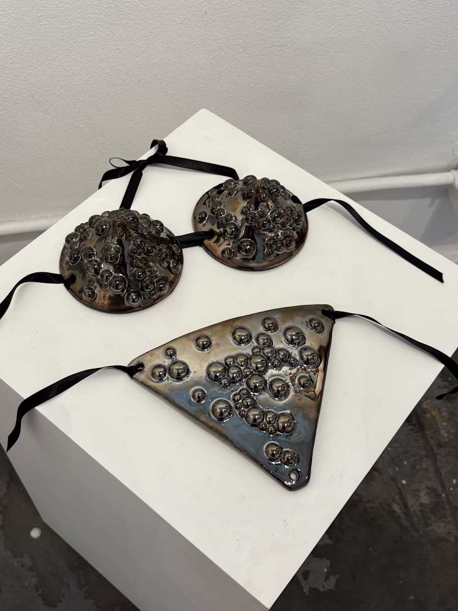 Raised Flesh Armor 3 piece set by kayla tange  Image: Worn in the video A Lush World shot and edited by Audrey Medrano. Includes signed photograph shot by Luka Fisher of Kayla wearing the set.