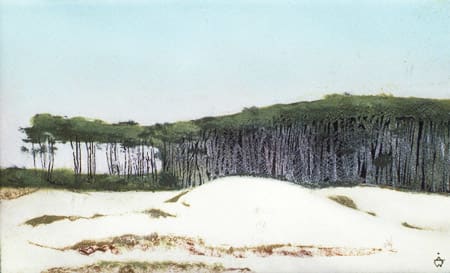 Monterey Pines and Dunes 