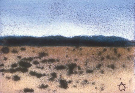 Sonora Highlands No. 1(?) 