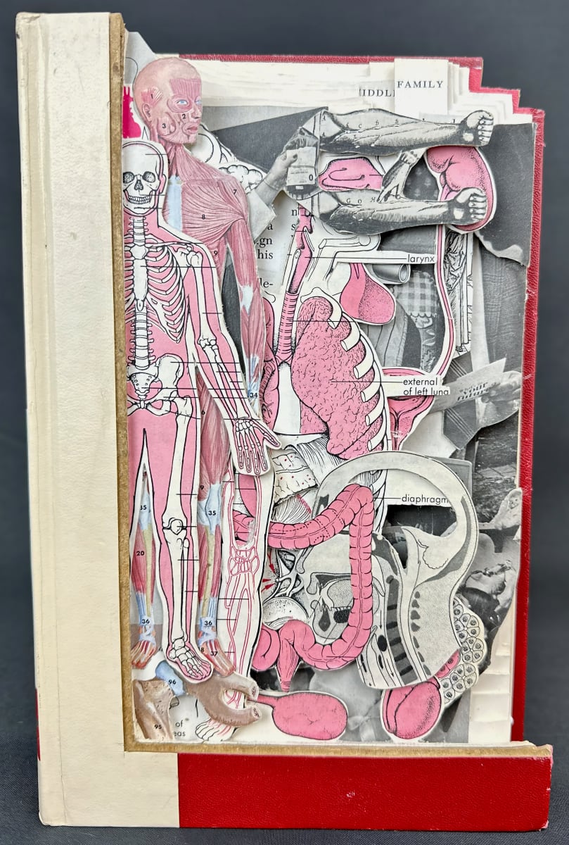 Medical in Pink by Shane Cooper 