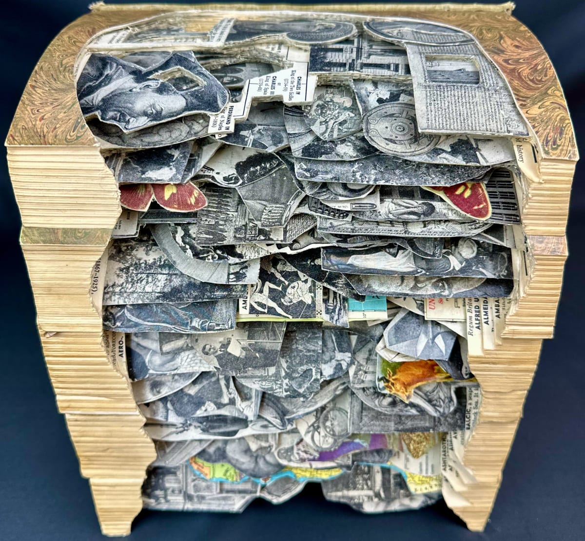 Family Tree by Shane Cooper 