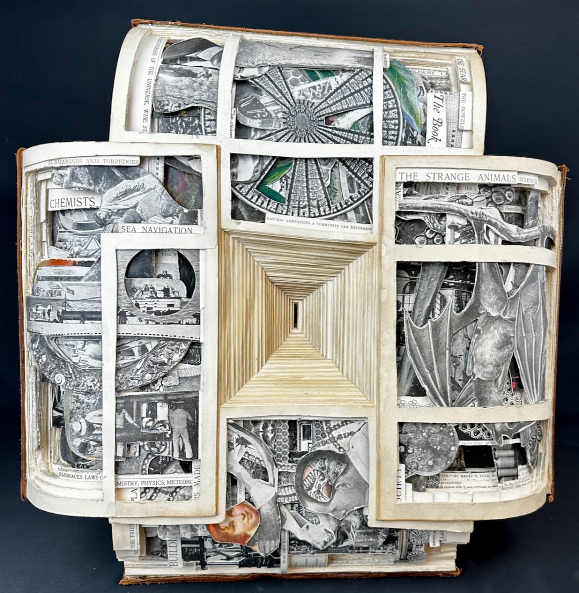 Vortex Knowledge by Shane Cooper 
