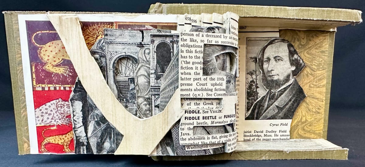 Tigers & Arches by Shane Cooper 