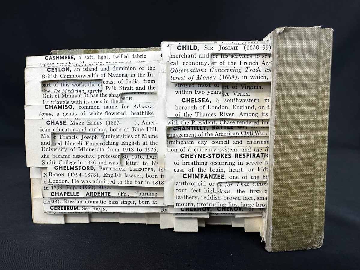 Text Blocks by Shane Cooper, Image 8.