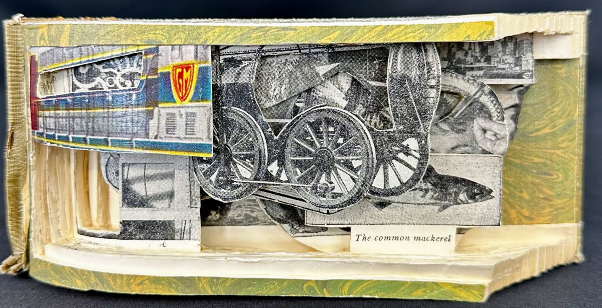 Holy Mackeral by Shane Cooper 