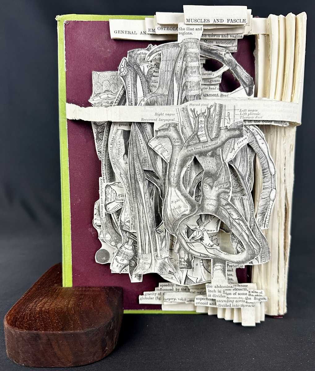 Anatomy Lesson by Shane Cooper 