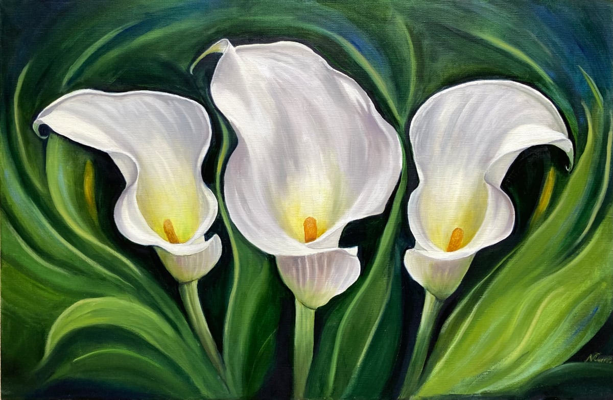 White Calla Lilies by Nicola Currie, Image 1.