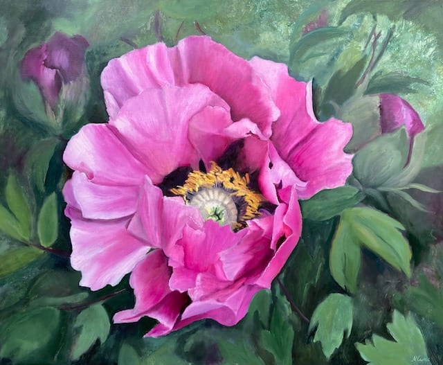 Pink Rockii Peony by Nicola Currie  Image: Pink Rockii Peony
Oil painting on gesso board 
Framed in a white wood tray frame