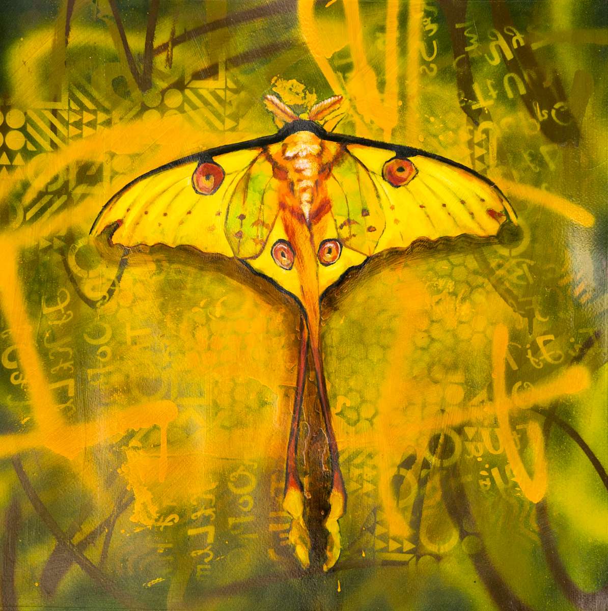 Delicate Contrast by Milan Dècor, Image 1.