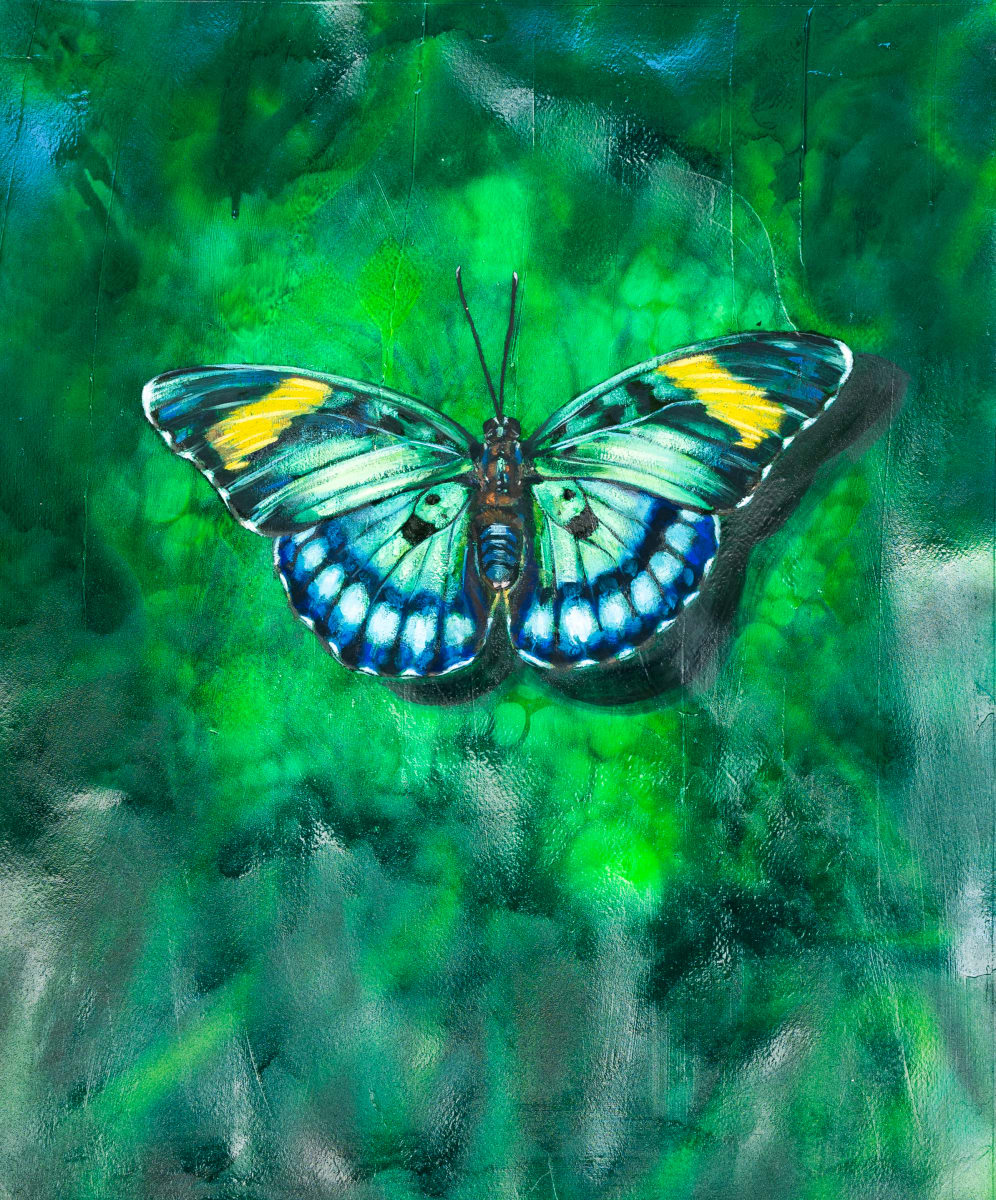 Delicate Understanding by Milan Dècor 