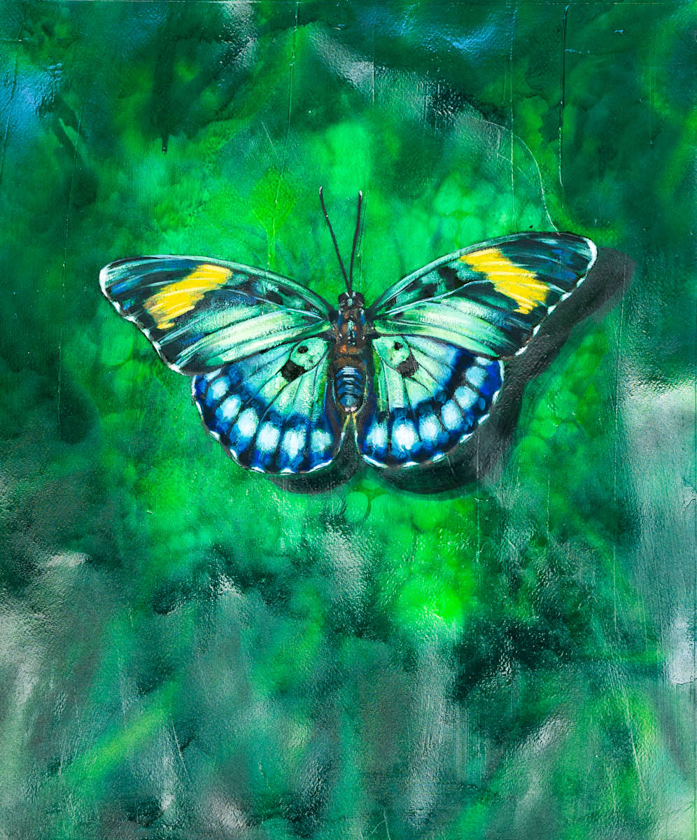 Delicate Understanding by Milan Dècor, Image 14.