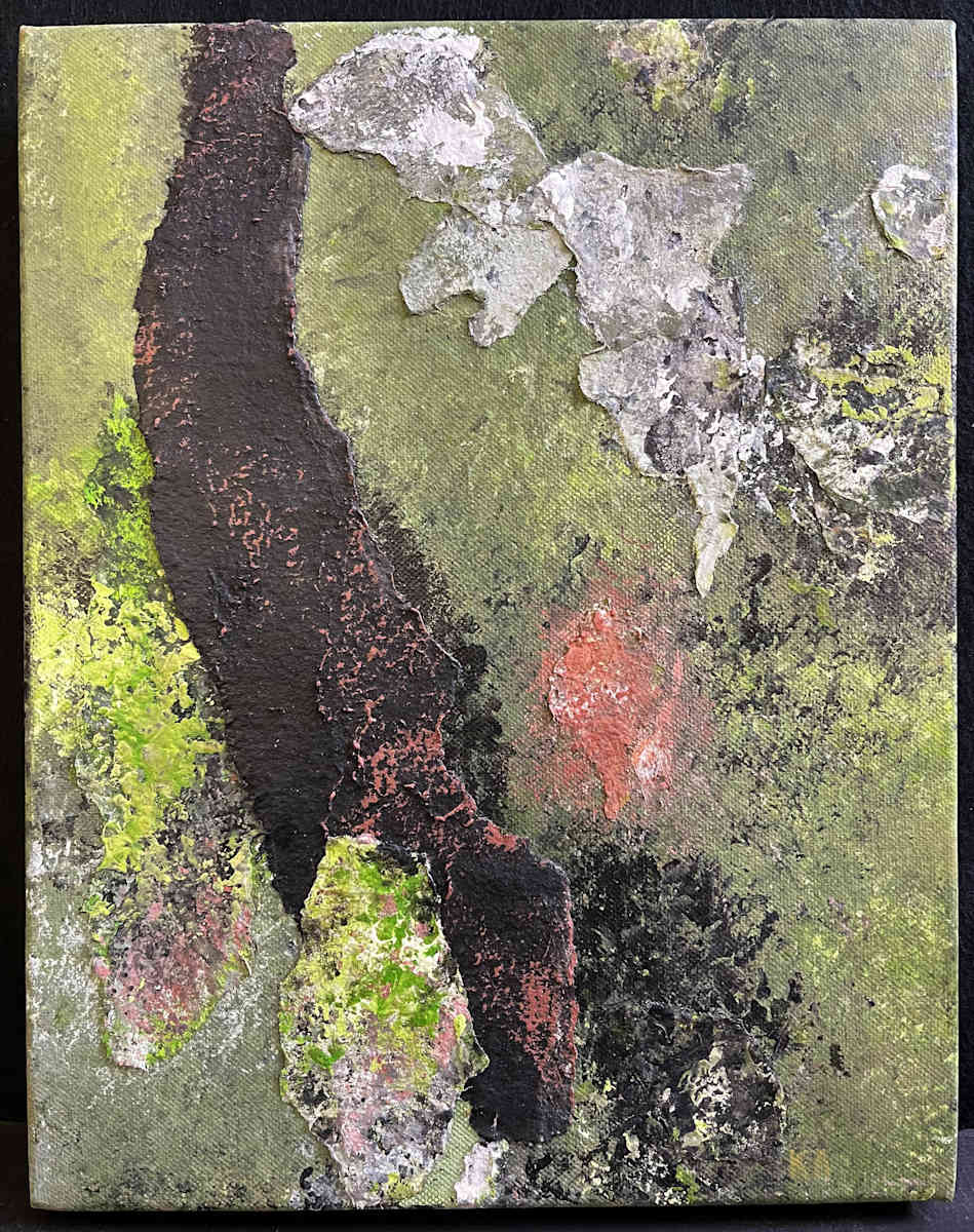 FOREST SEEN(s) by Keith Achepohl  Image: Forest Seen(s) 