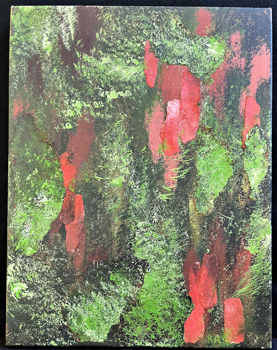 FOREST SEEN(s) by Keith Achepohl  Image: Forest Seen(s) 
