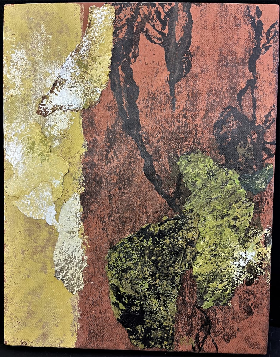 FOREST SEEN(s) by Keith Achepohl, Image 1.