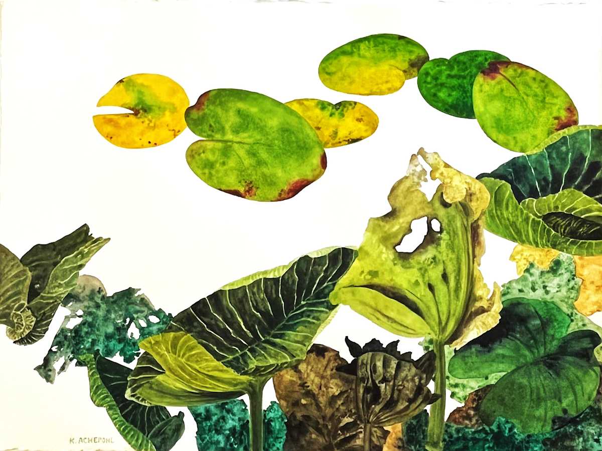 POND LILIES by Keith Achepohl, Image 1.