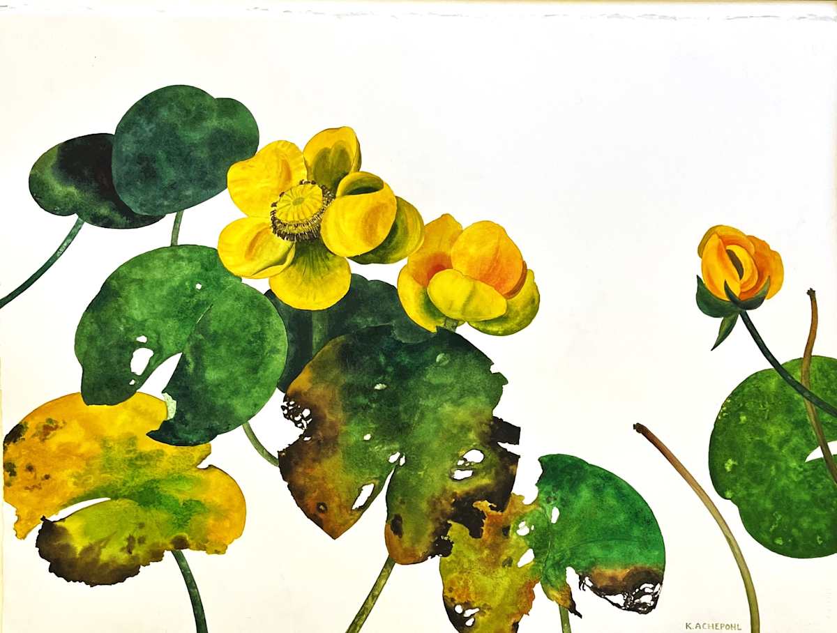 POND LILIES by Keith Achepohl, Image 1.