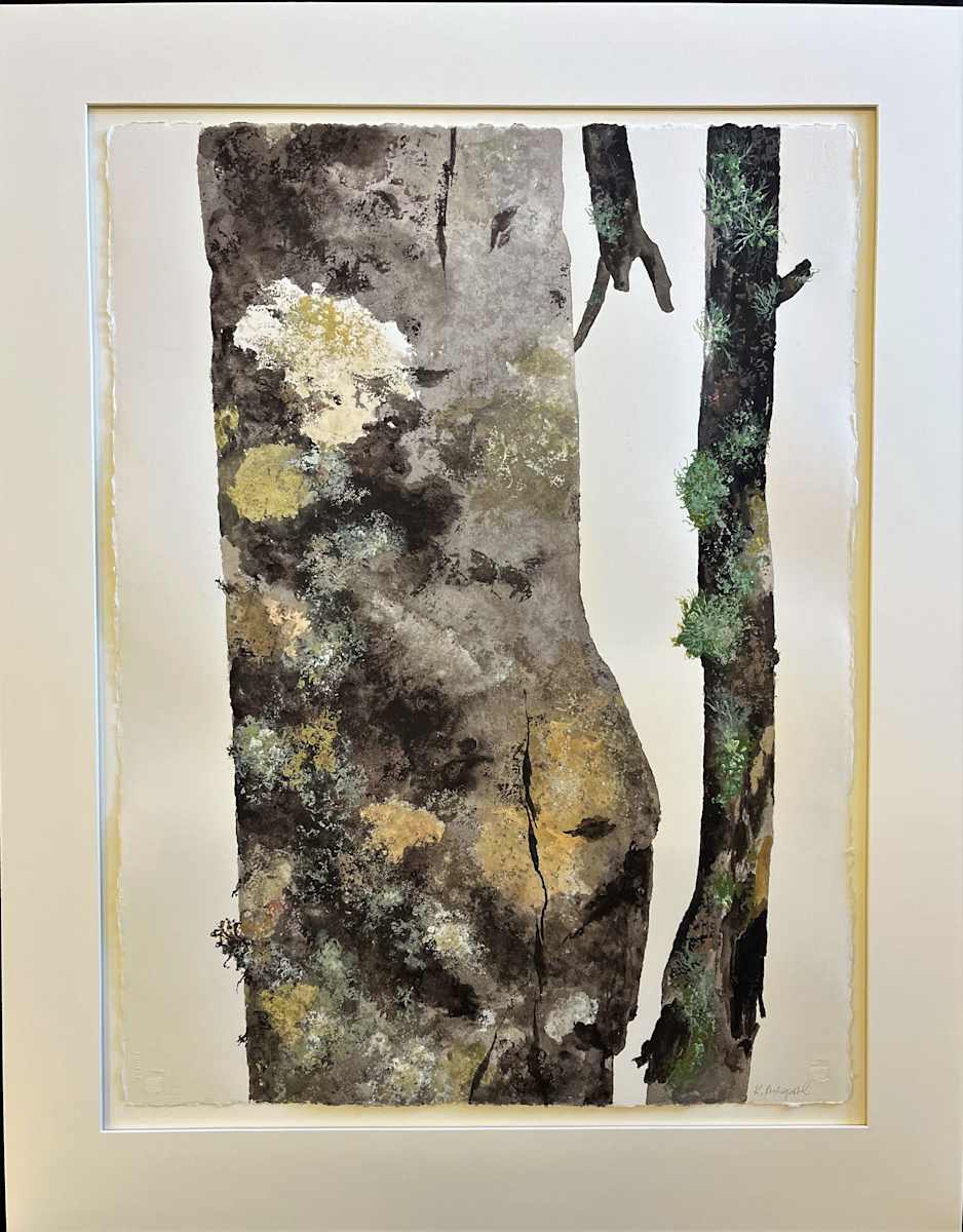 FOREST WALKS by Keith Achepohl Trust  Image: Forest Walks
