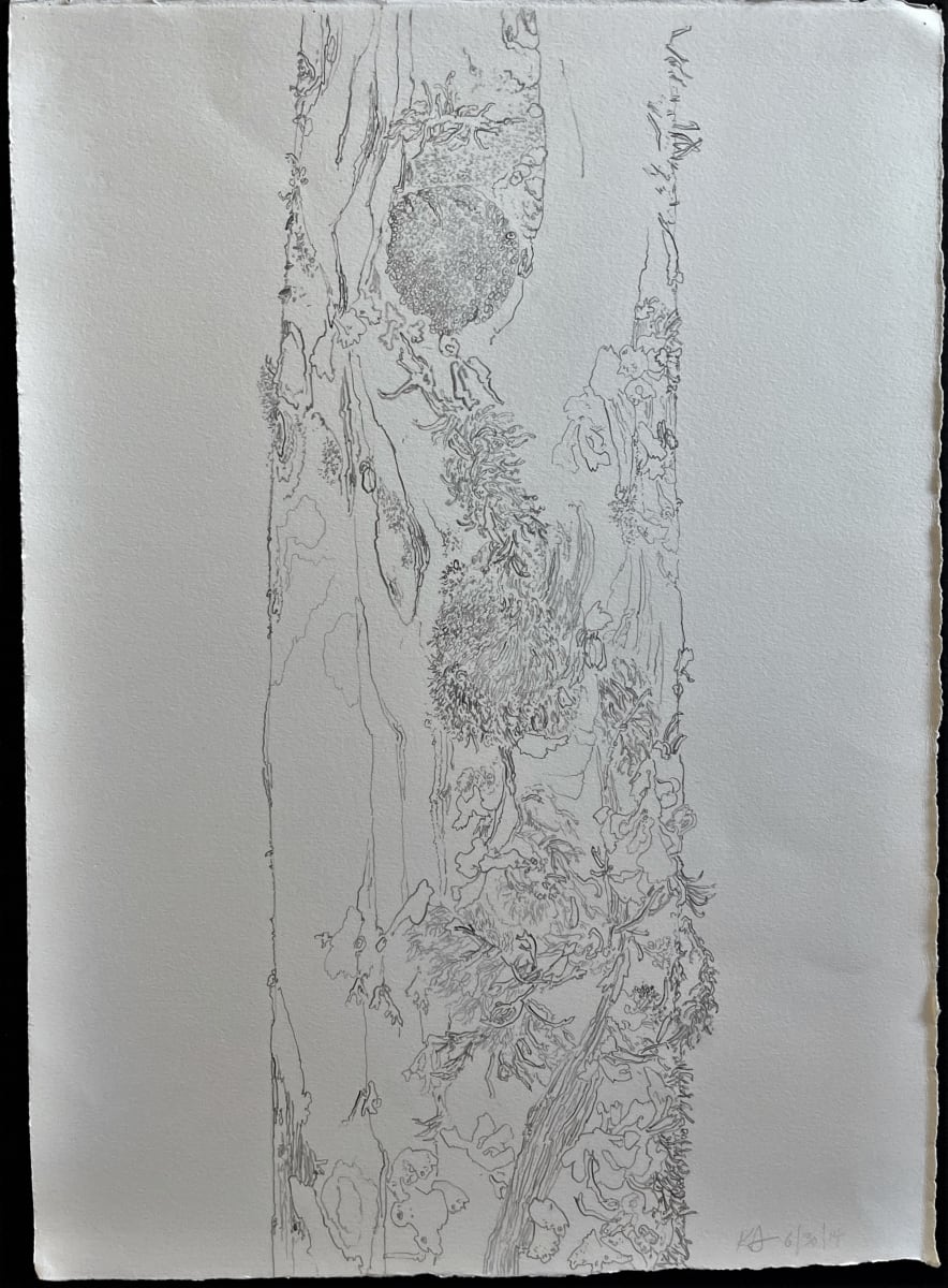 TREE MAPS #4 by Keith Achepohl, Image 1.