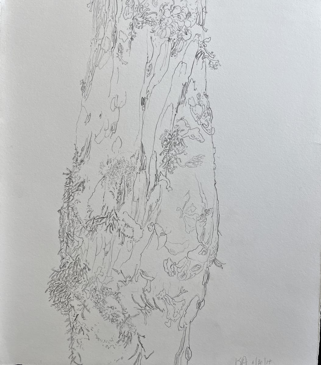 TREE MAPS #2 by Keith Achepohl, Image 1.