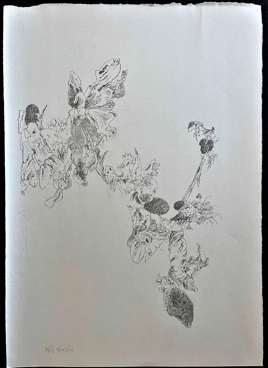 TREE MAPS by Keith Achepohl Trust  Image: Tree Maps; graphite on paper