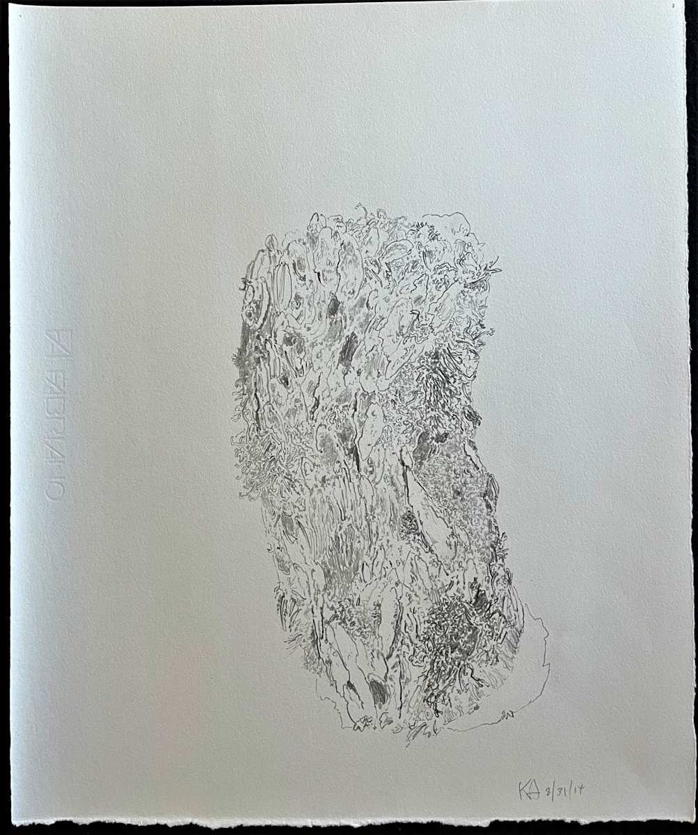 TREE MAPS by Keith Achepohl Trust  Image: Tree Maps; graphite on paper
