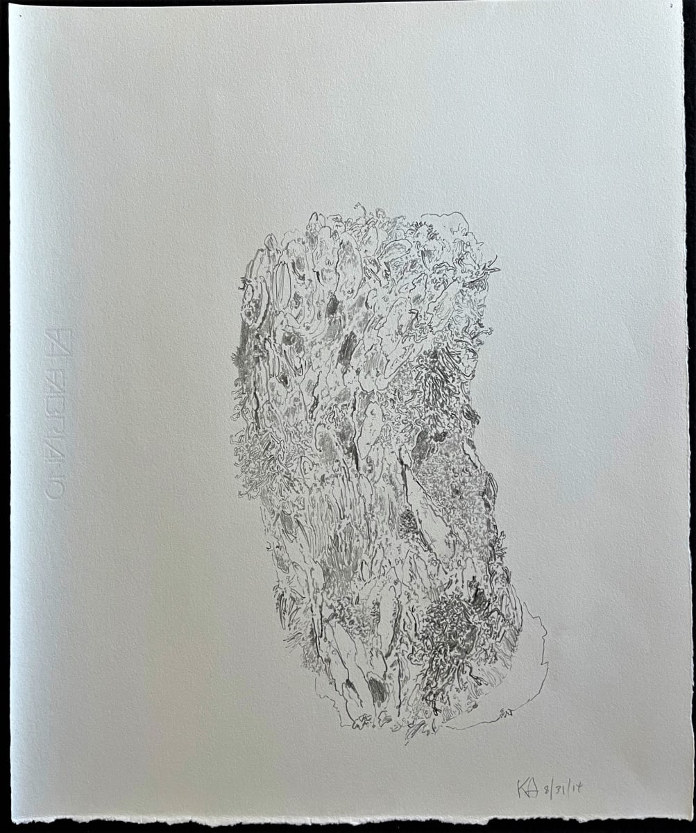 TREE MAPS #15 by Keith Achepohl, Image 1.