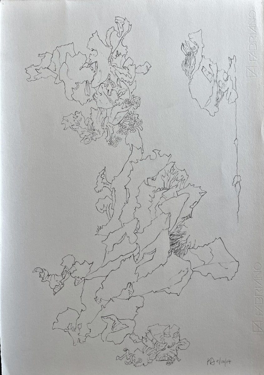 TREE MAPS #20 by Keith Achepohl, Image 1.