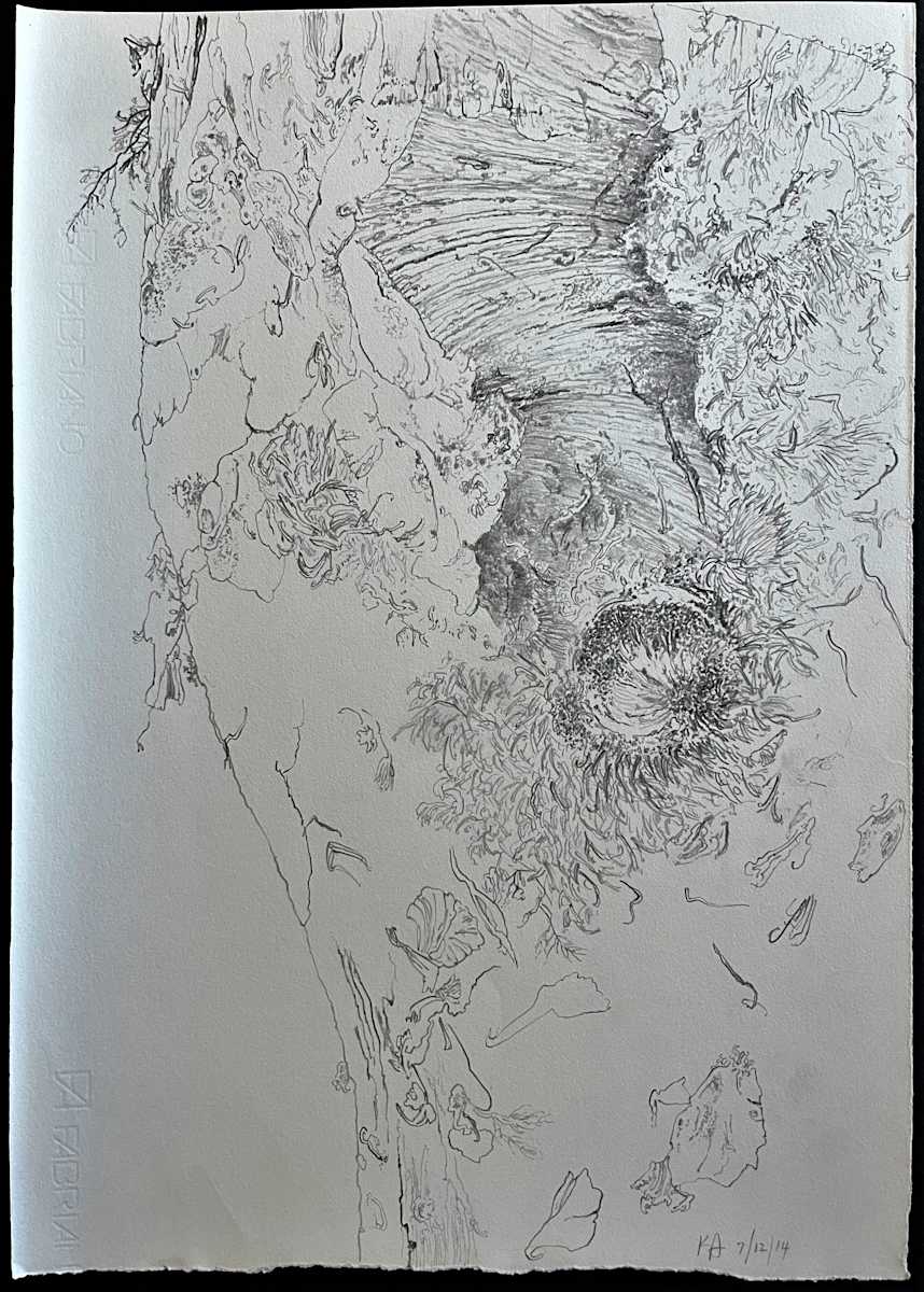TREE MAPS by Keith Achepohl Trust  Image: Tree Maps; graphite on paper