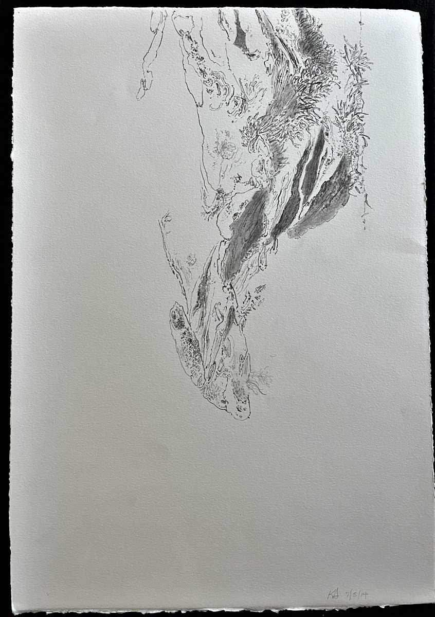 TREE MAPS by Keith Achepohl  Image: Tree Maps