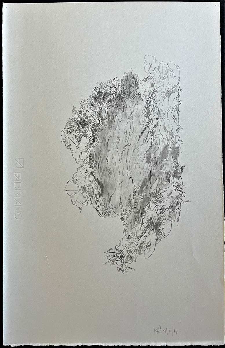 TREE MAPS by Keith Achepohl  Image: Tree Maps