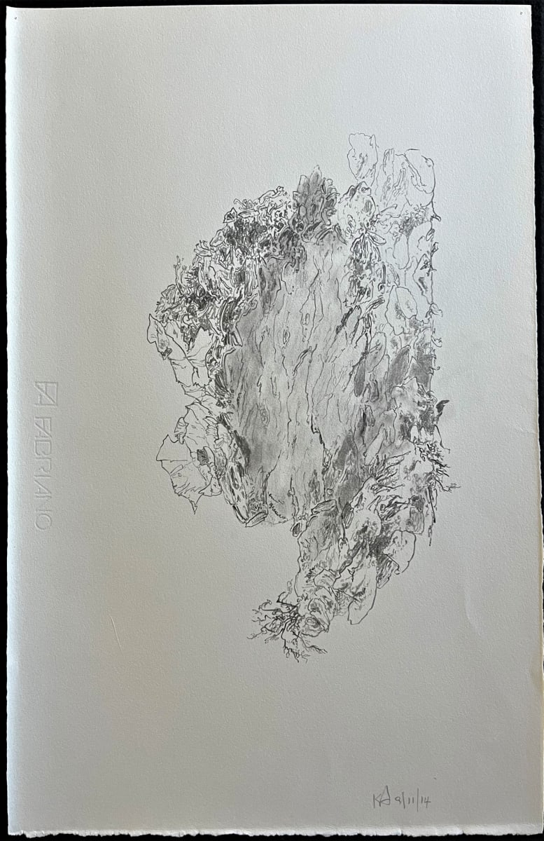 TREE MAPS #21 by Keith Achepohl, Image 1.
