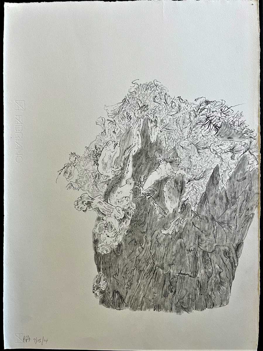 TREE MAPS by Keith Achepohl  Image: Tree Maps