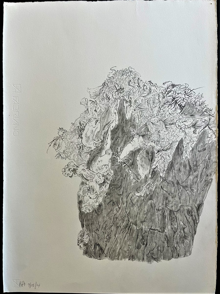 TREE MAPS #10 by Keith Achepohl, Image 1.