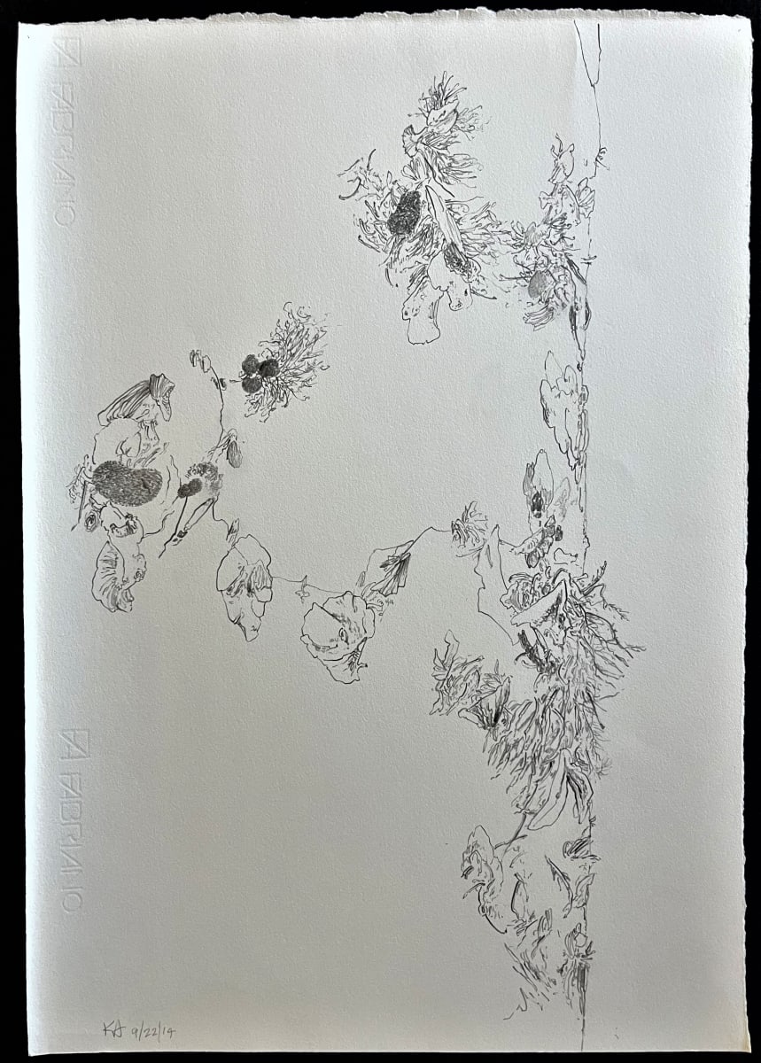 TREE MAPS #23 by Keith Achepohl, Image 1.