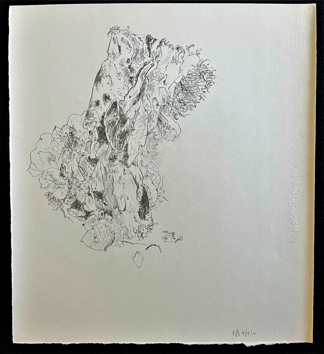 TREE MAPS by Keith Achepohl  Image: Tree Maps