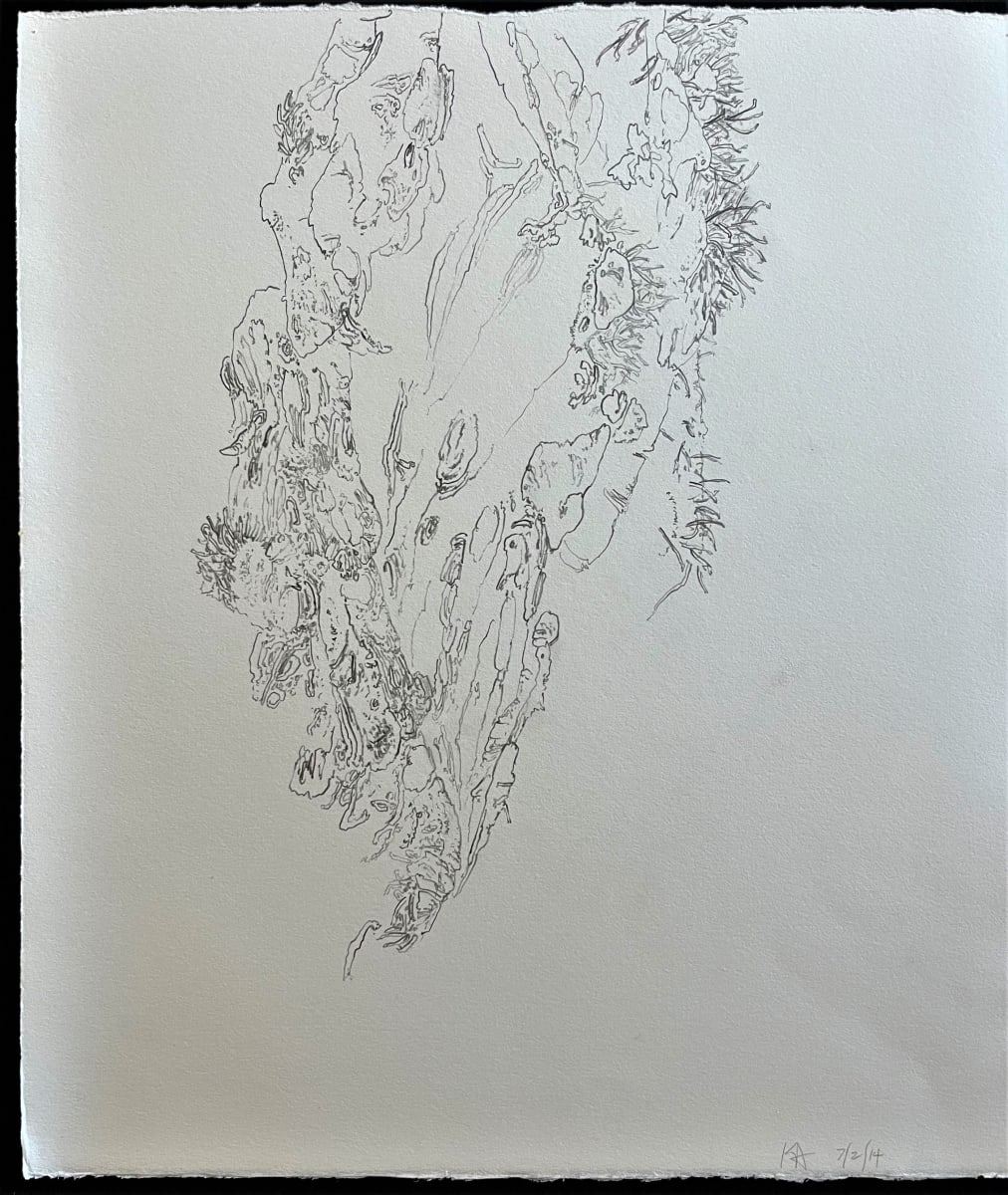 TREE MAPS #5 by Keith Achepohl, Image 1.