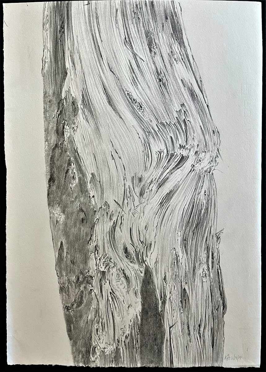 TREE MAPS by Keith Achepohl  Image: Tree Maps