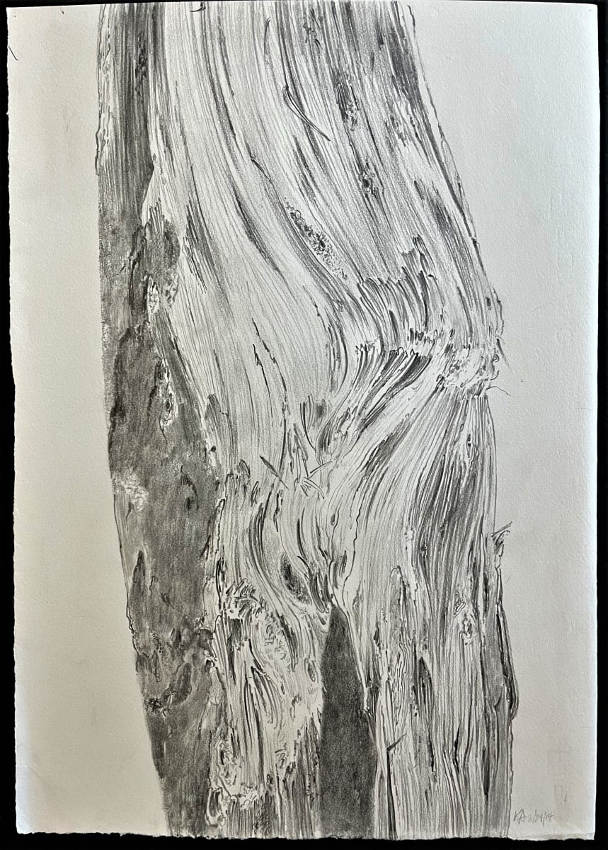 TREE MAPS #13 by Keith Achepohl, Image 1.