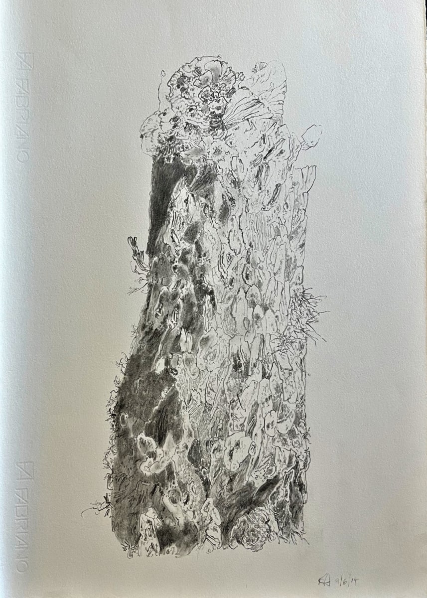 TREE MAPS by Keith Achepohl, Image 1.