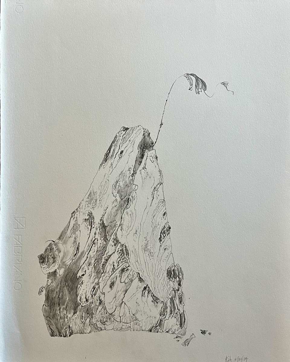 TREE MAPS by Keith Achepohl  Image: Tree Maps