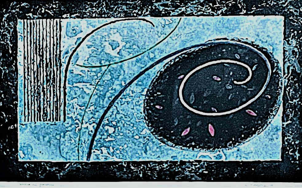 SUONO DEL GIARDINO by Keith Achepohl  Image: Suono del Giardino