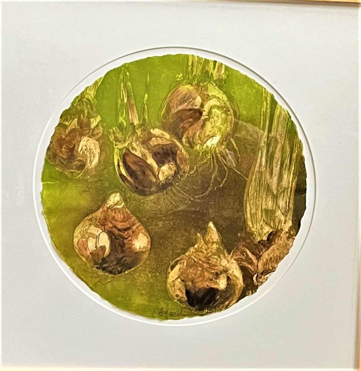 NARCISSUS BULBS by Keith Achepohl  Image: Narcissus Bulbs