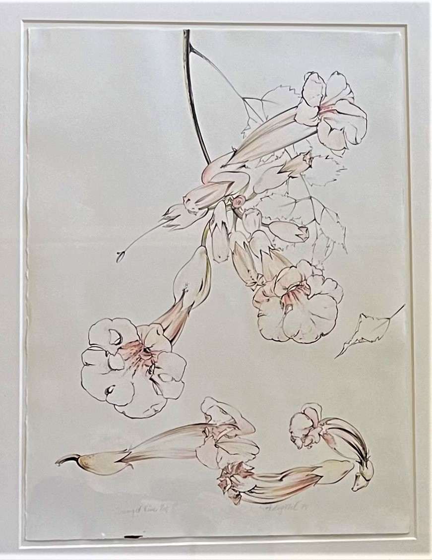 TRUMPET VINE by Keith Achepohl  Image: Trumpet Vine; 1 of 15; triptych