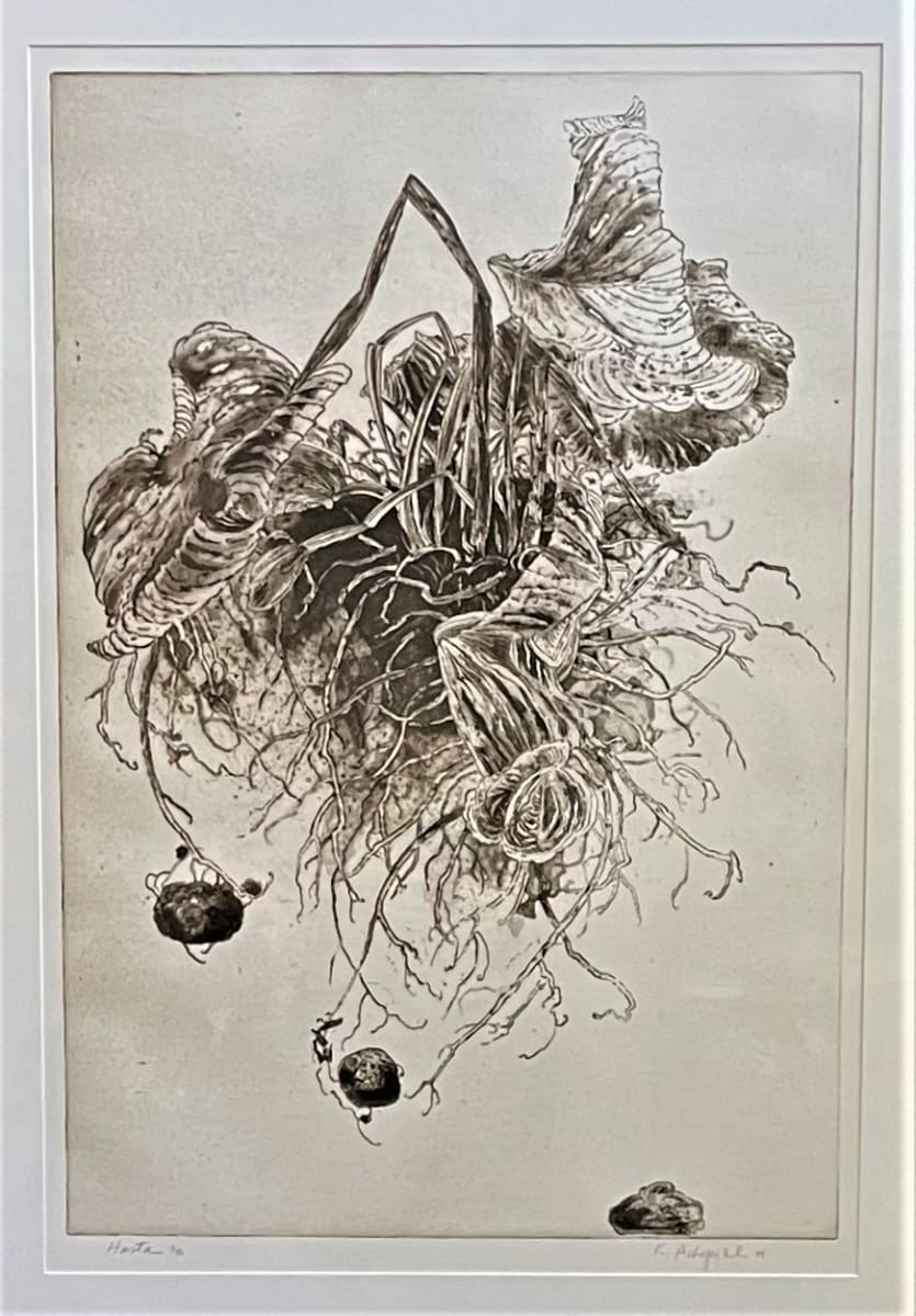 HOSTA by Keith Achepohl, Image 1.