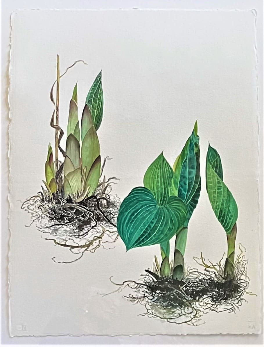 HOSTA IV by Keith Achepohl, Image 1.