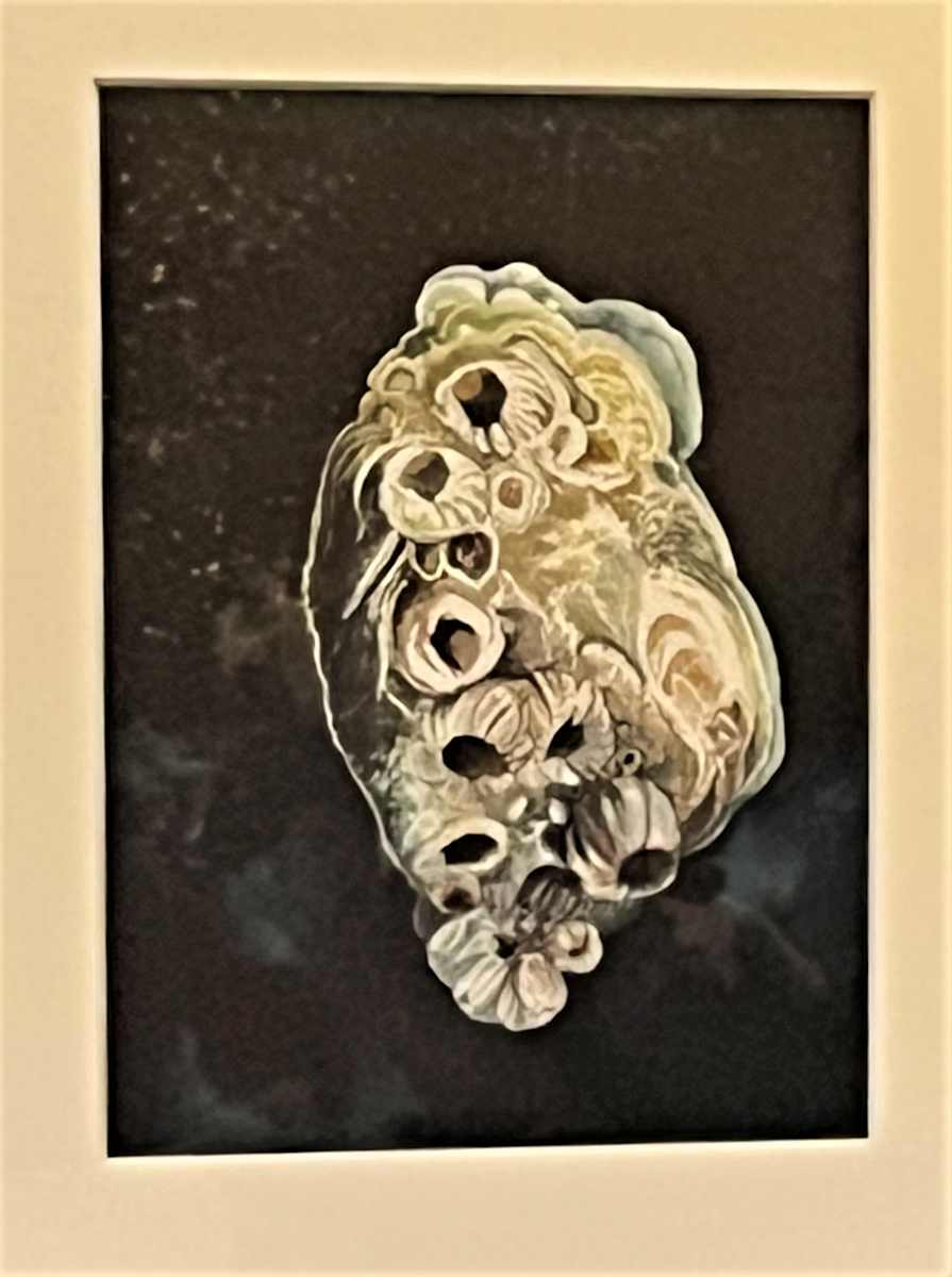 LIDO 8 by Keith Achepohl  Image: Lido 8