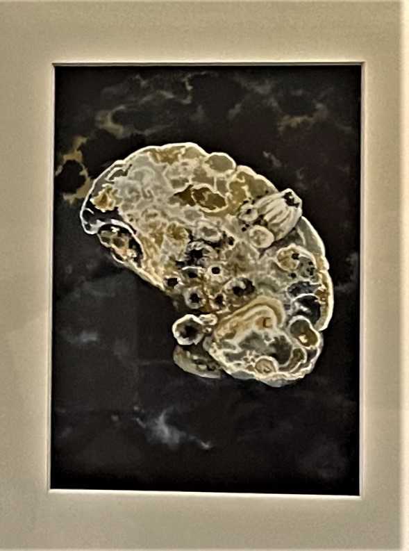 LIDO 7 by Keith Achepohl  Image: Lido 7