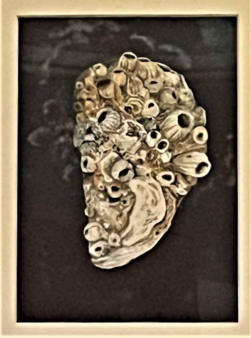 LIDO 19 by Keith Achepohl  Image: Lido 19