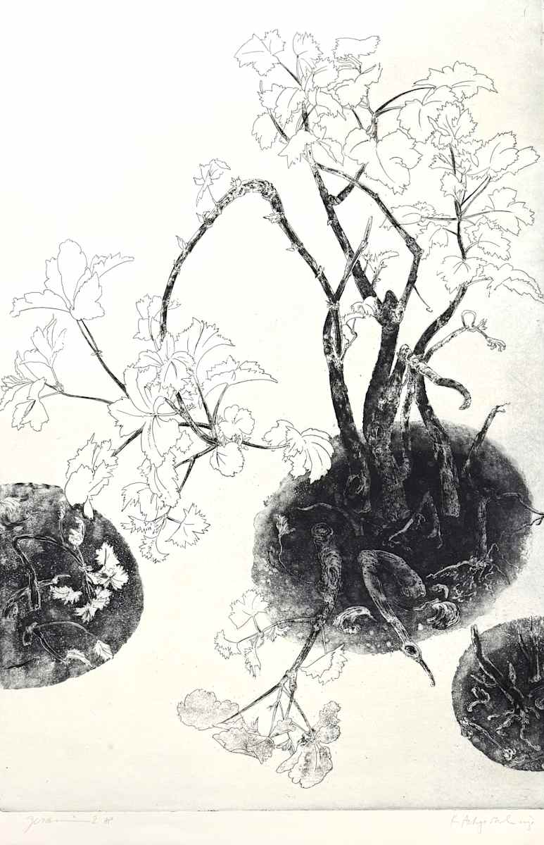 GERANIUM V by Keith Achepohl  Image: Geranium V; AP