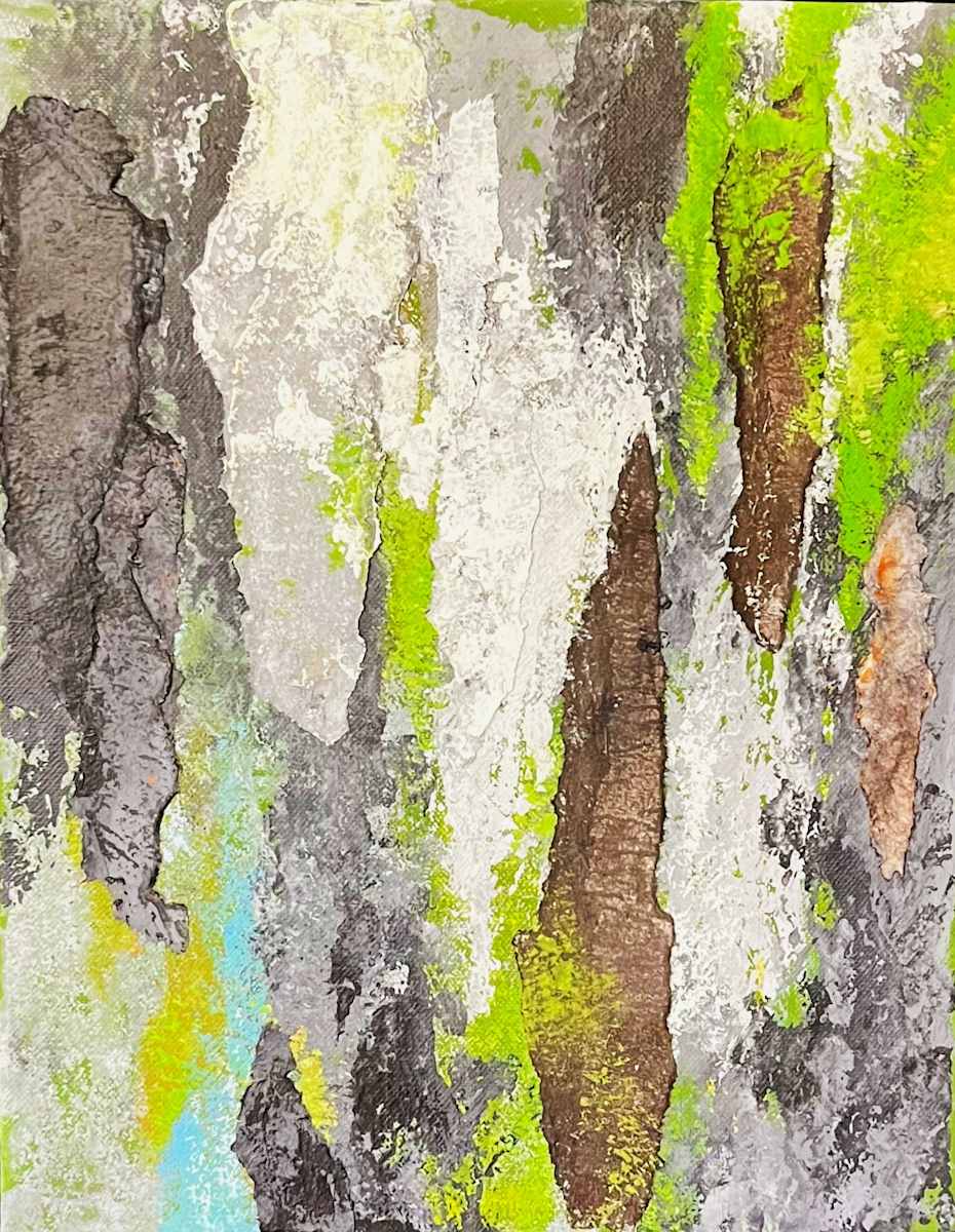 FOREST SEEN(s)  Image: Forest Seen(s)